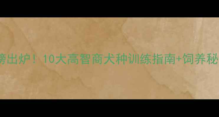 图片 全球犬类智商排行榜出炉！10大高智商犬种训练指南+饲养秘籍，养狗人必看！1