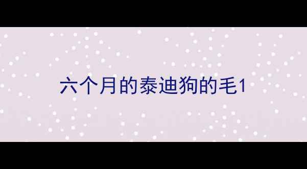 图片 六个月的泰迪狗的毛1