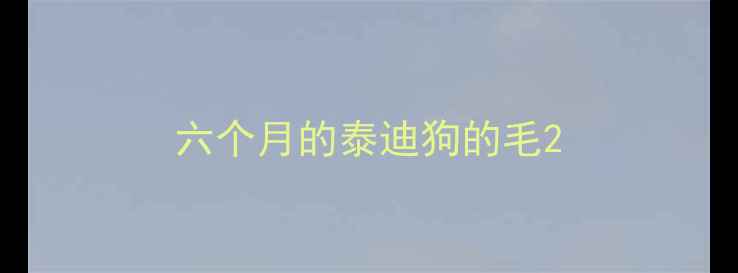 图片 六个月的泰迪狗的毛2