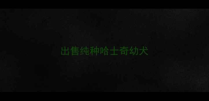 图片 出售纯种哈士奇幼犬