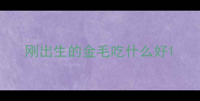 图片 刚出生的金毛吃什么好1