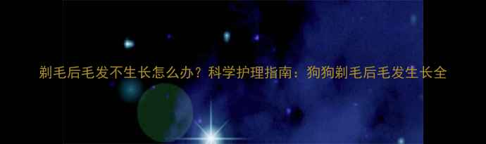 图片 剃毛后毛发不生长怎么办？科学护理指南：狗狗剃毛后毛发生长全