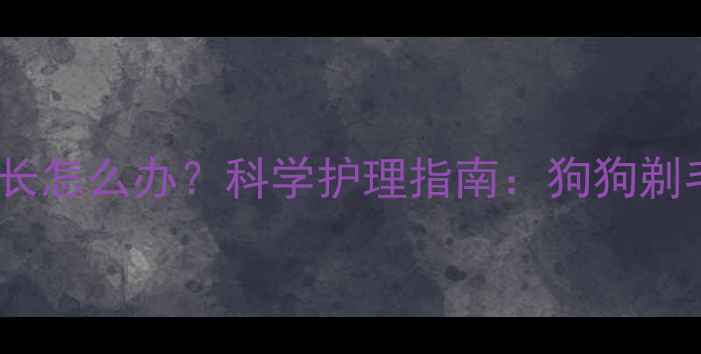图片 剃毛后毛发不生长怎么办？科学护理指南：狗狗剃毛后毛发生长全1