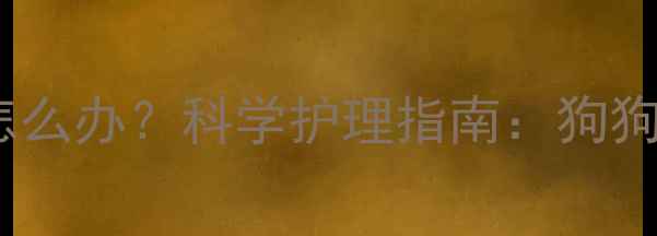 图片 剃毛后毛发不生长怎么办？科学护理指南：狗狗剃毛后毛发生长全2