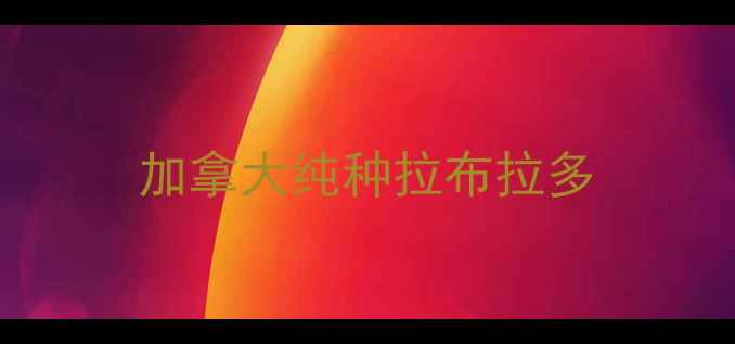 图片 加拿大纯种拉布拉多