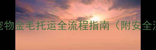图片 北京上海宠物金毛托运全流程指南（附安全注意事项）