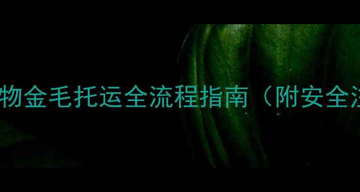 图片 北京上海宠物金毛托运全流程指南（附安全注意事项）1