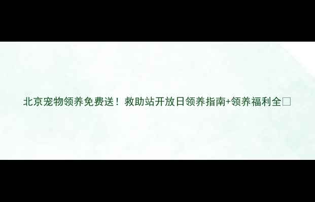 图片 北京宠物领养免费送！救助站开放日领养指南+领养福利全🐾