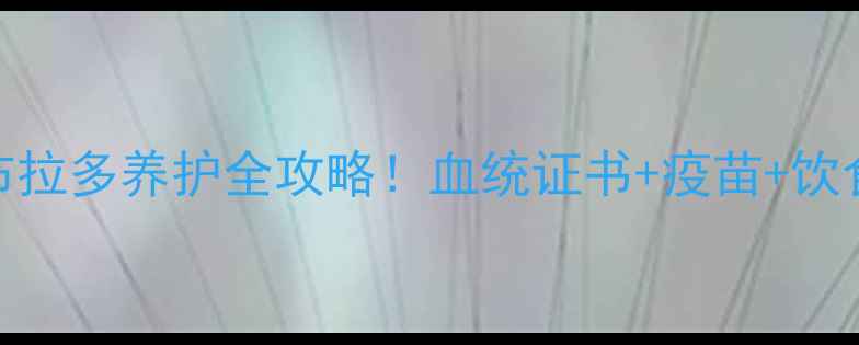 图片 北京纯种黑色拉布拉多养护全攻略！血统证书+疫苗+饮食，新手必看！🐾