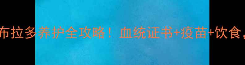 图片 北京纯种黑色拉布拉多养护全攻略！血统证书+疫苗+饮食，新手必看！🐾2