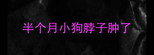 图片 半个月小狗脖子肿了