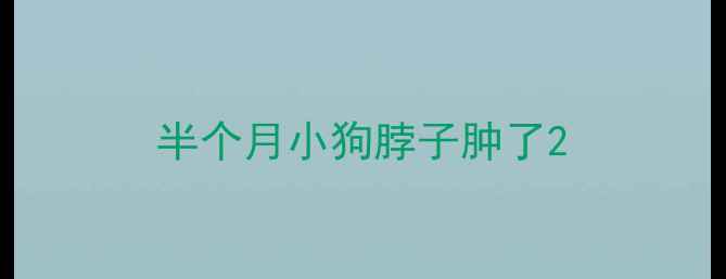 图片 半个月小狗脖子肿了2