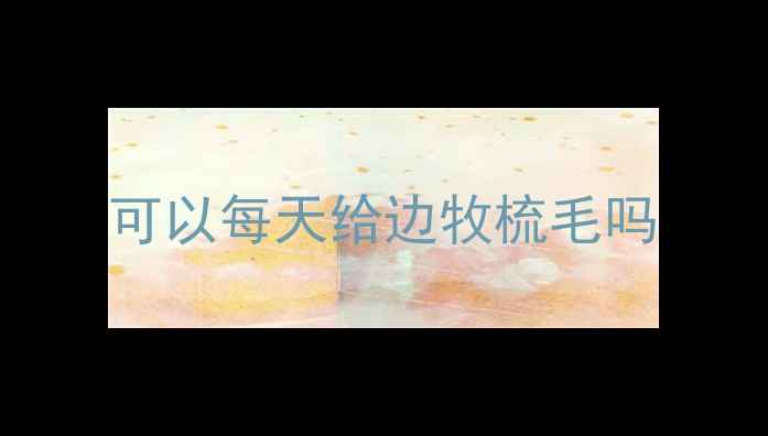 图片 可以每天给边牧梳毛吗