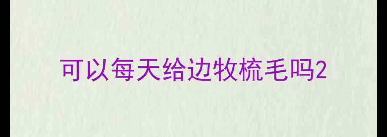 图片 可以每天给边牧梳毛吗2