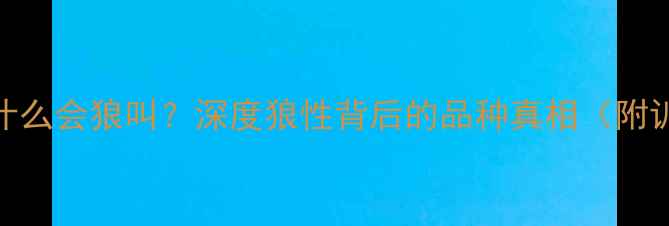 图片 哈士奇为什么会狼叫？深度狼性背后的品种真相（附训练指南）