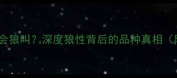 图片 哈士奇为什么会狼叫？深度狼性背后的品种真相（附训练指南）1