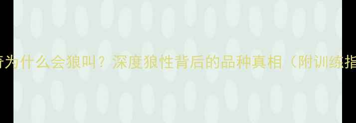图片 哈士奇为什么会狼叫？深度狼性背后的品种真相（附训练指南）2