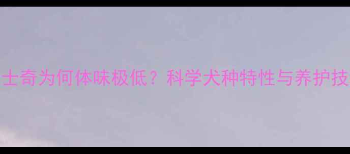 图片 哈士奇为何体味极低？科学犬种特性与养护技巧
