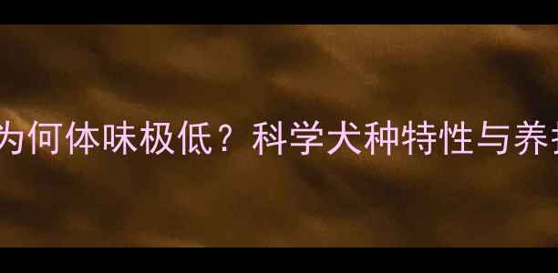 图片 哈士奇为何体味极低？科学犬种特性与养护技巧1