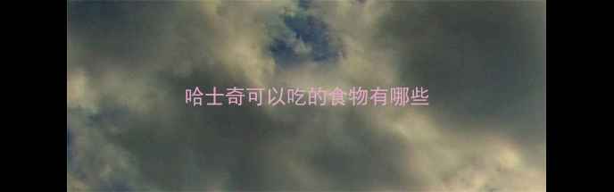 图片 哈士奇可以吃的食物有哪些