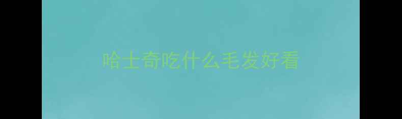 图片 哈士奇吃什么毛发好看