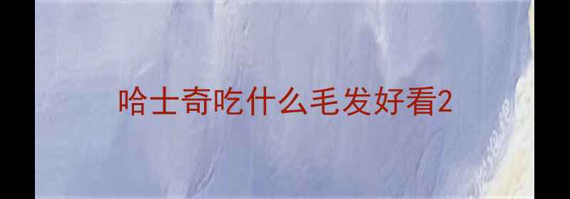 图片 哈士奇吃什么毛发好看2