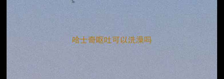 图片 哈士奇呕吐可以洗澡吗