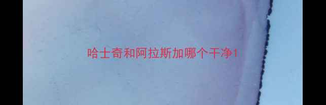 图片 哈士奇和阿拉斯加哪个干净1