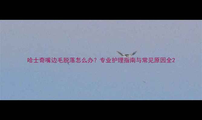 图片 哈士奇嘴边毛脱落怎么办？专业护理指南与常见原因全2