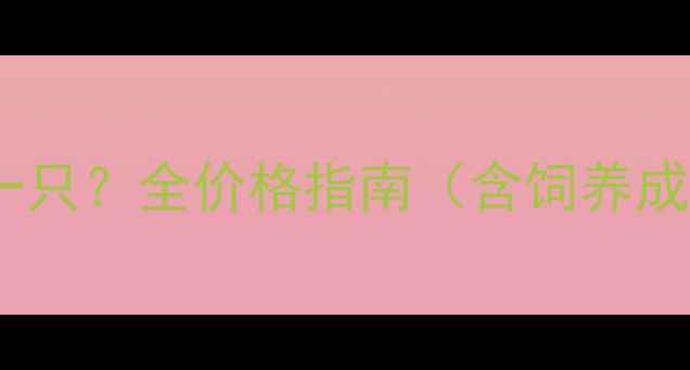 图片 哈士奇多少钱一只？全价格指南（含饲养成本+领养建议）