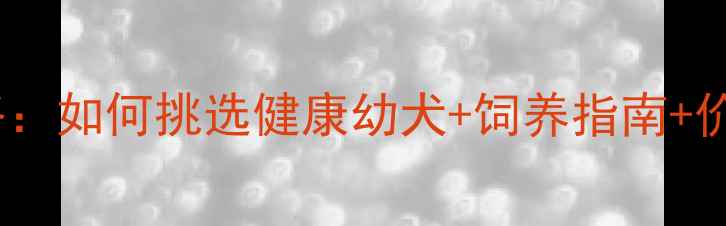 图片 哈士奇宠物狗出售全攻略：如何挑选健康幼犬+饲养指南+价格参考（附最新行情）2