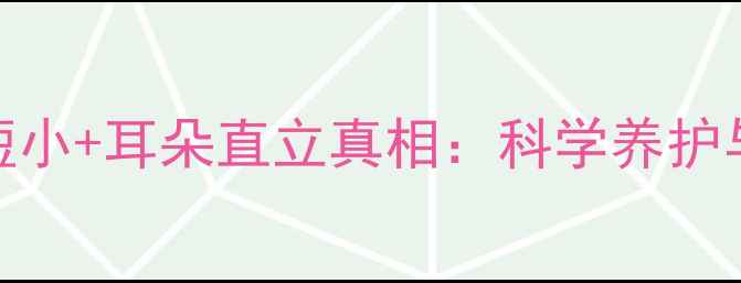 图片 哈士奇尾巴短小+耳朵直立真相：科学养护与遗传特征全