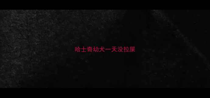 图片 哈士奇幼犬一天没拉屎