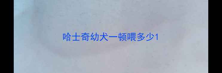图片 哈士奇幼犬一顿喂多少1