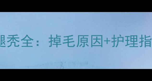 图片 哈士奇掉毛腿秃全：掉毛原因+护理指南+防秃妙招