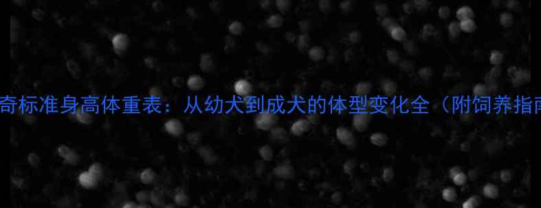 图片 哈士奇标准身高体重表：从幼犬到成犬的体型变化全（附饲养指南）1