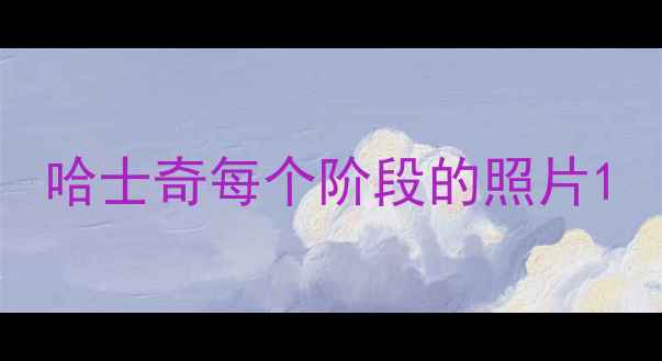 图片 哈士奇每个阶段的照片1