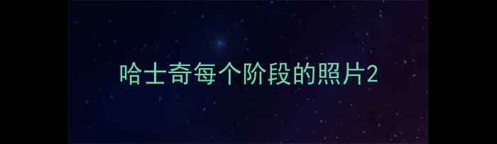 图片 哈士奇每个阶段的照片2