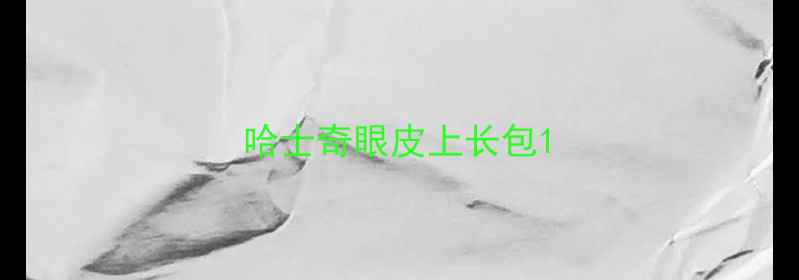 图片 哈士奇眼皮上长包1