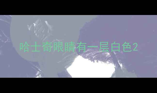 图片 哈士奇眼睛有一层白色2