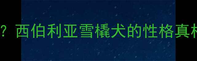 图片 哈士奇胆小吗？西伯利亚雪橇犬的性格真相与饲养指南1