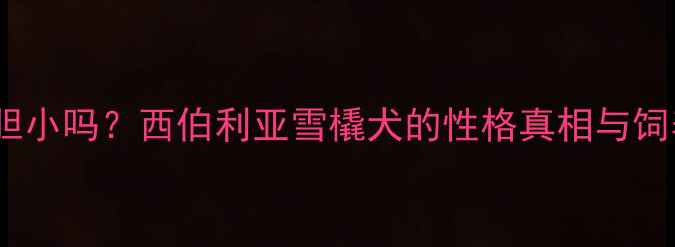 图片 哈士奇胆小吗？西伯利亚雪橇犬的性格真相与饲养指南2