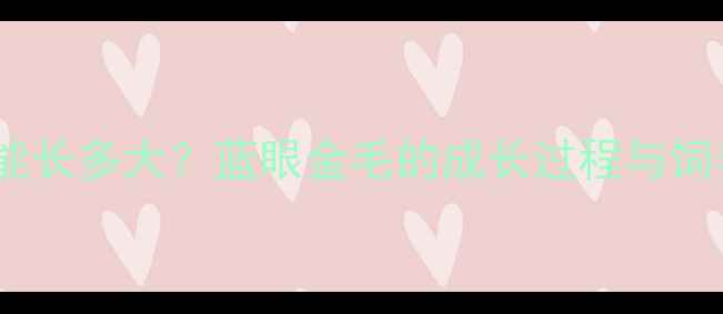 图片 哈士奇能长多大？蓝眼金毛的成长过程与饲养指南1