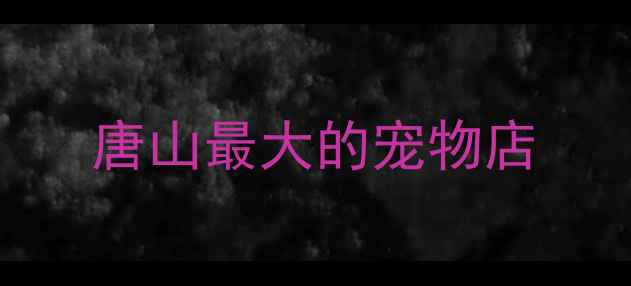 图片 唐山最大的宠物店