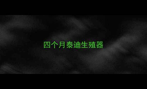 图片 四个月泰迪生殖器