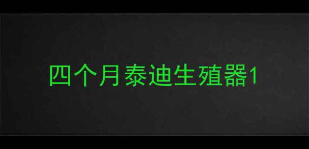 图片 四个月泰迪生殖器1