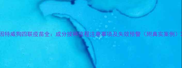 图片 因特威狗四联疫苗全：成分接种流程注意事项及失效预警（附真实案例）2