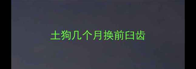 图片 土狗几个月换前臼齿