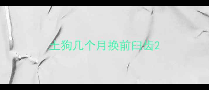 图片 土狗几个月换前臼齿2