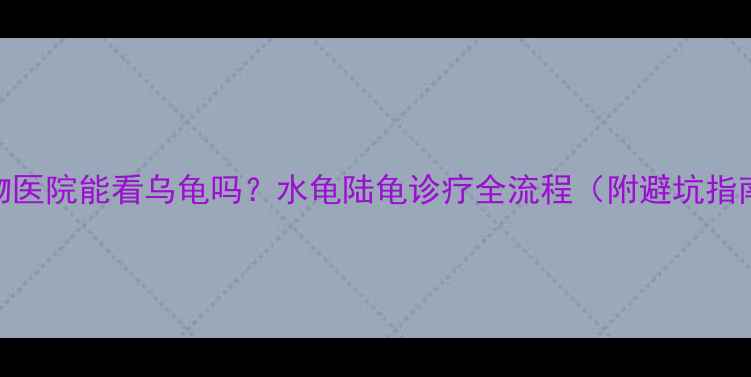 图片 宠物医院能看乌龟吗？水龟陆龟诊疗全流程（附避坑指南）